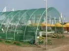 Tieniaca sieťka na fóliovník 3m x 50m