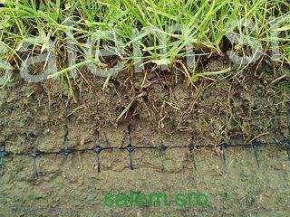 Sieť proti krtkom 26g/m2, 2m x 50m (100m2)