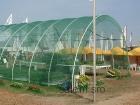 Tieniaca sieťka na fóliovník 7,5m x 25m