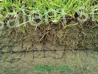 SET : Sieťka proti krtkom 2x100m+klince+kaput green+bofix+hnojivo.