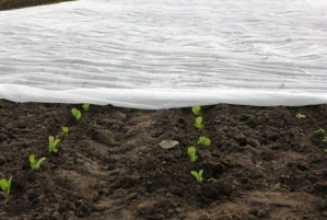 Netkaná geotextília zakrývacia biela 4,2x100m, (420m2)  19g/m2