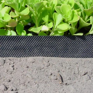 Plastový obrubník 6m x 15cm