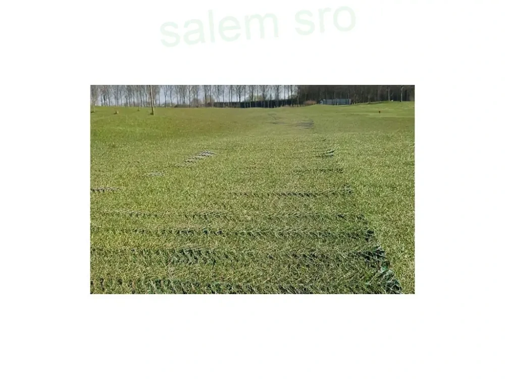 Zatrávňovacia rohož FLEX 1800, 2 x 20 m zelená 40 m²